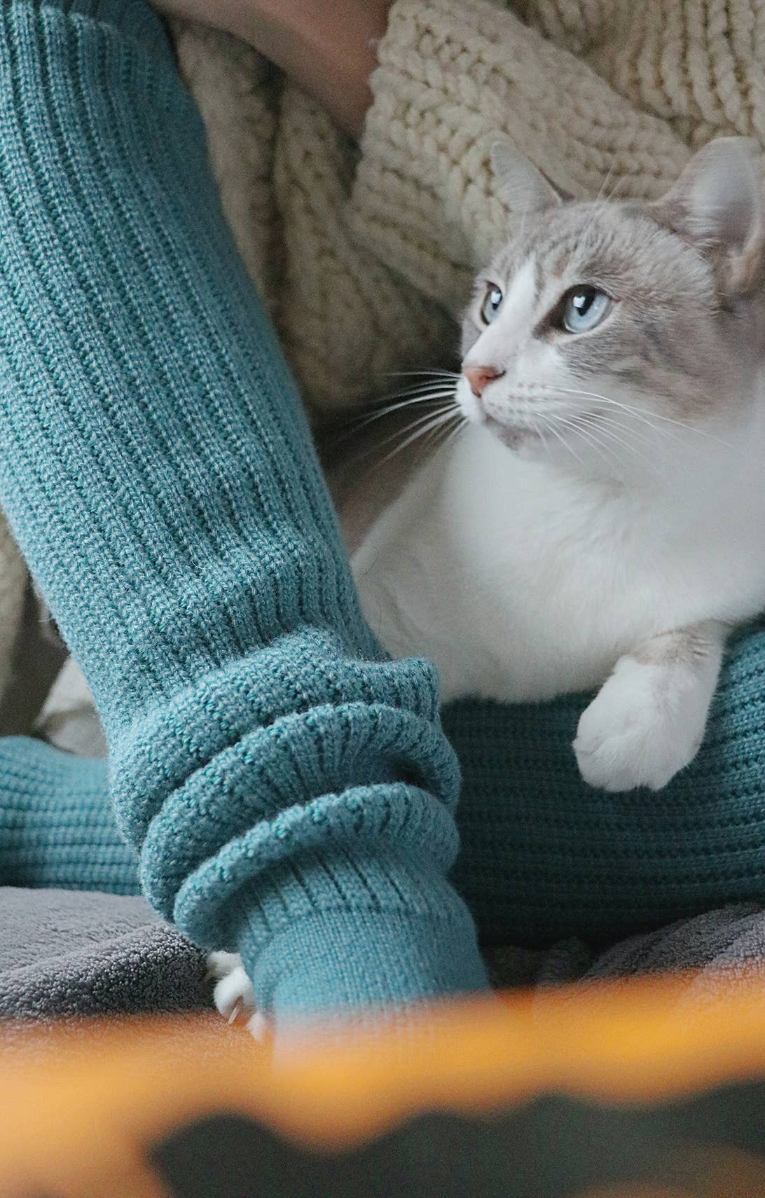 Tabbisocks - Venta al por mayor Calcetines - Mujer - Calcetines largos hasta la rodilla Lounge Scrunchy - mezcla de lana23