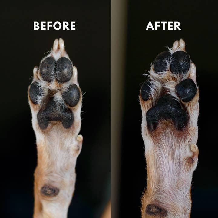 Simply Sage Dog Treats, LLC - Wholesale Pet Paw Protection - White Label Lavender-scented Dog Paw Balm, Roller Stick7