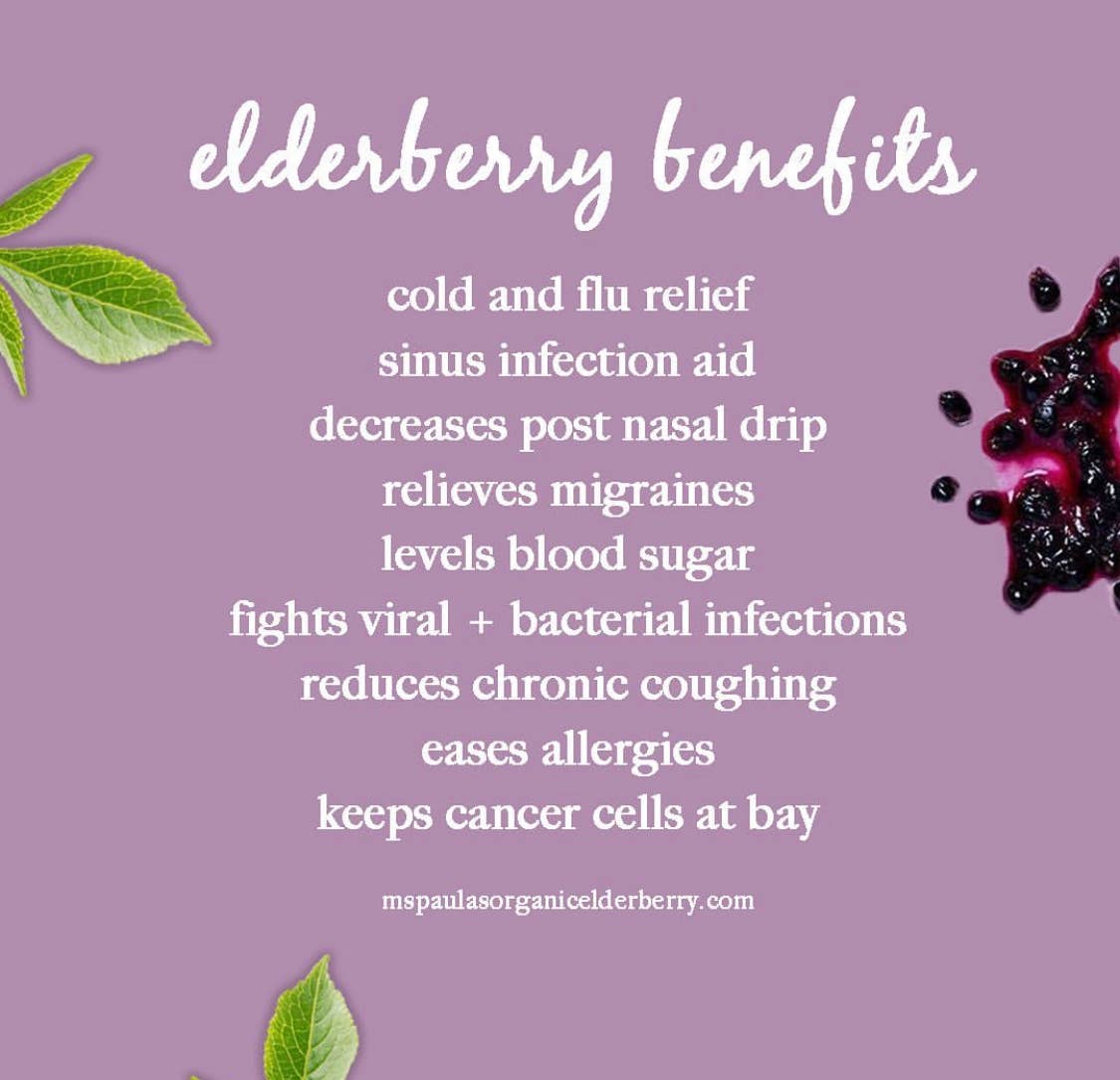 Organic Elderberry Syrup – wholesale Oral supplement/vitamin – Ms Paula's Organic Vegan. Infant. Keto Blend1