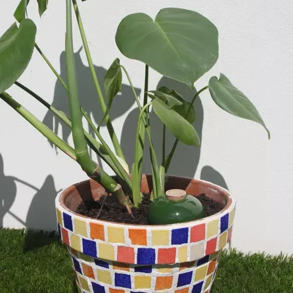 Poterie lutton - Vente Arrosoirs - Ollas Galet 15 cl – Arrosage autonome et stylé8