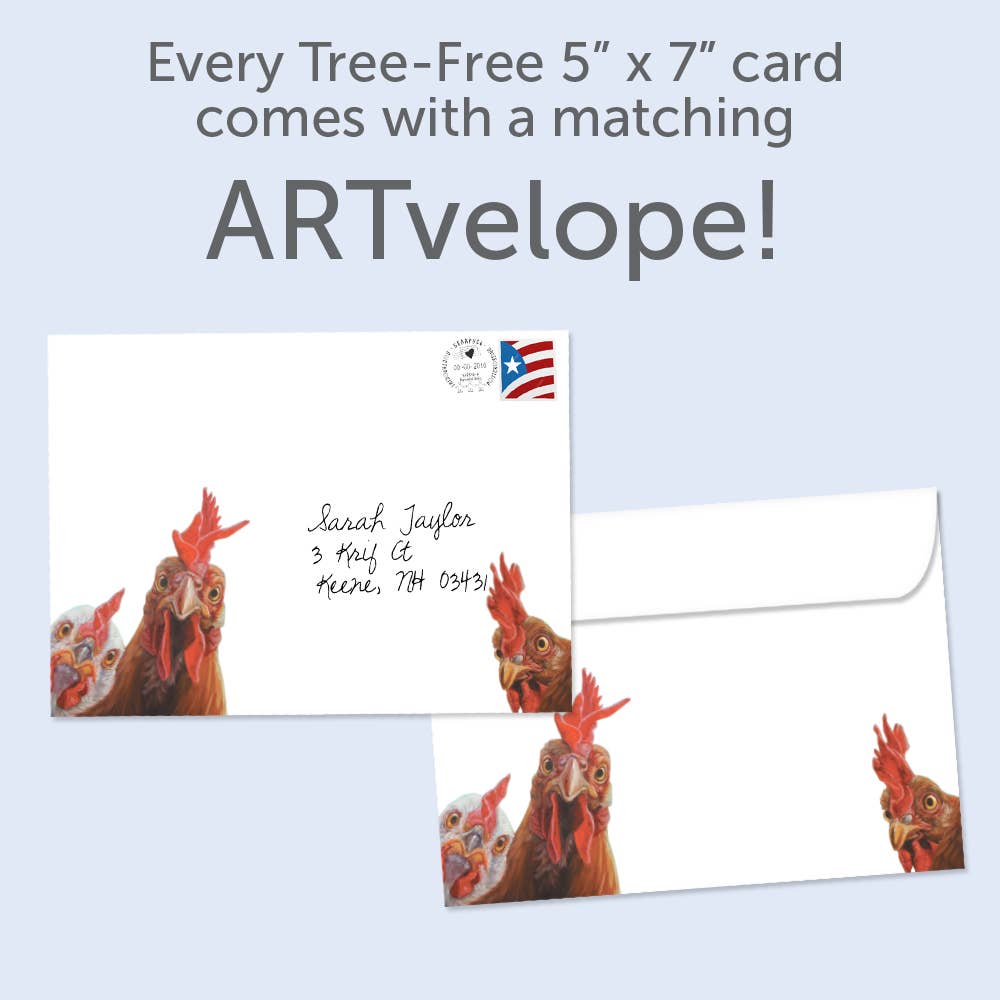 Tree-Free Greetings - Wholesale Birthday Card - What The Cluck Birthday 6 Pack 178772