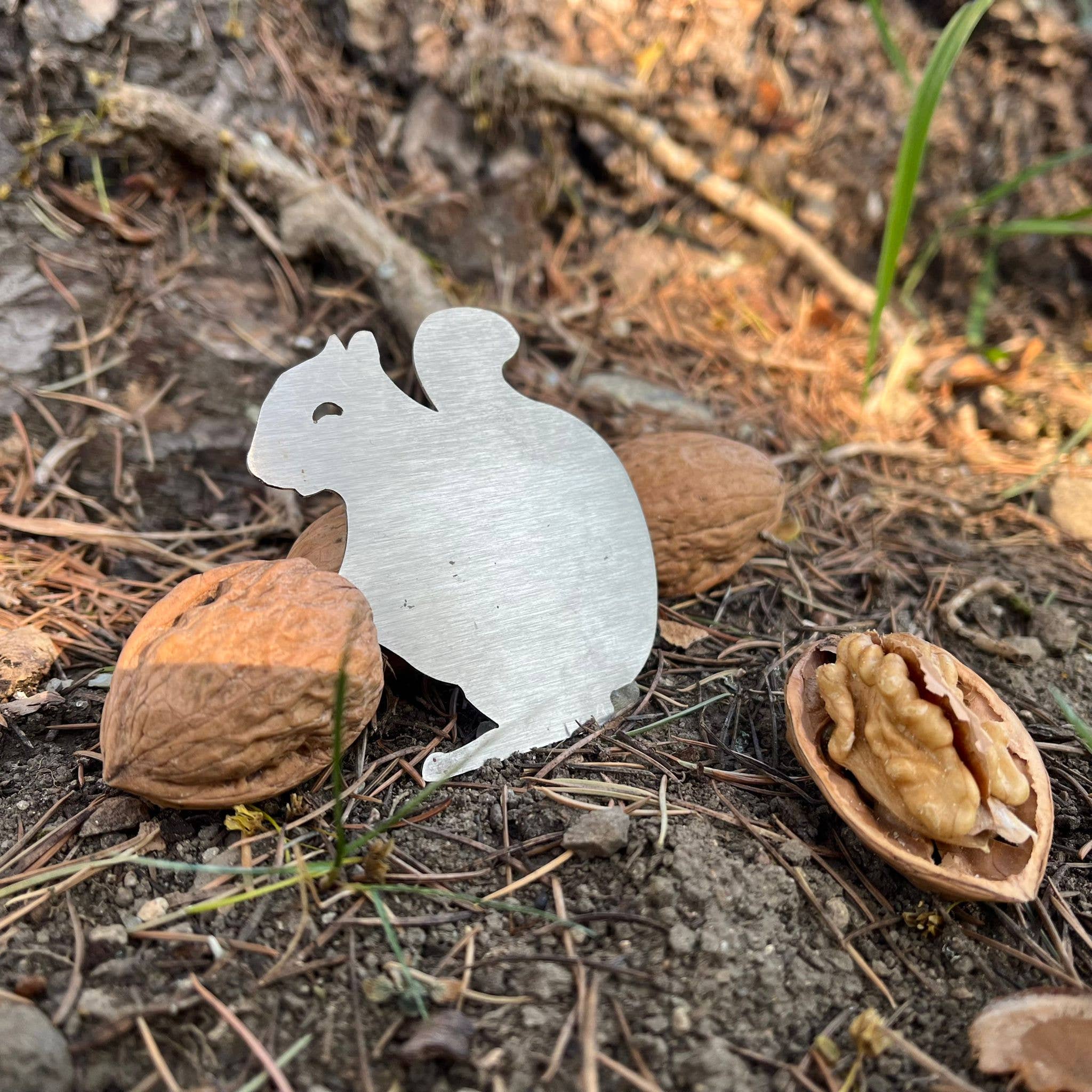 STILIC FORCE - La boutique du futur - Wholesale Kitchen Tool/Gadget - Walnut Squirrel1