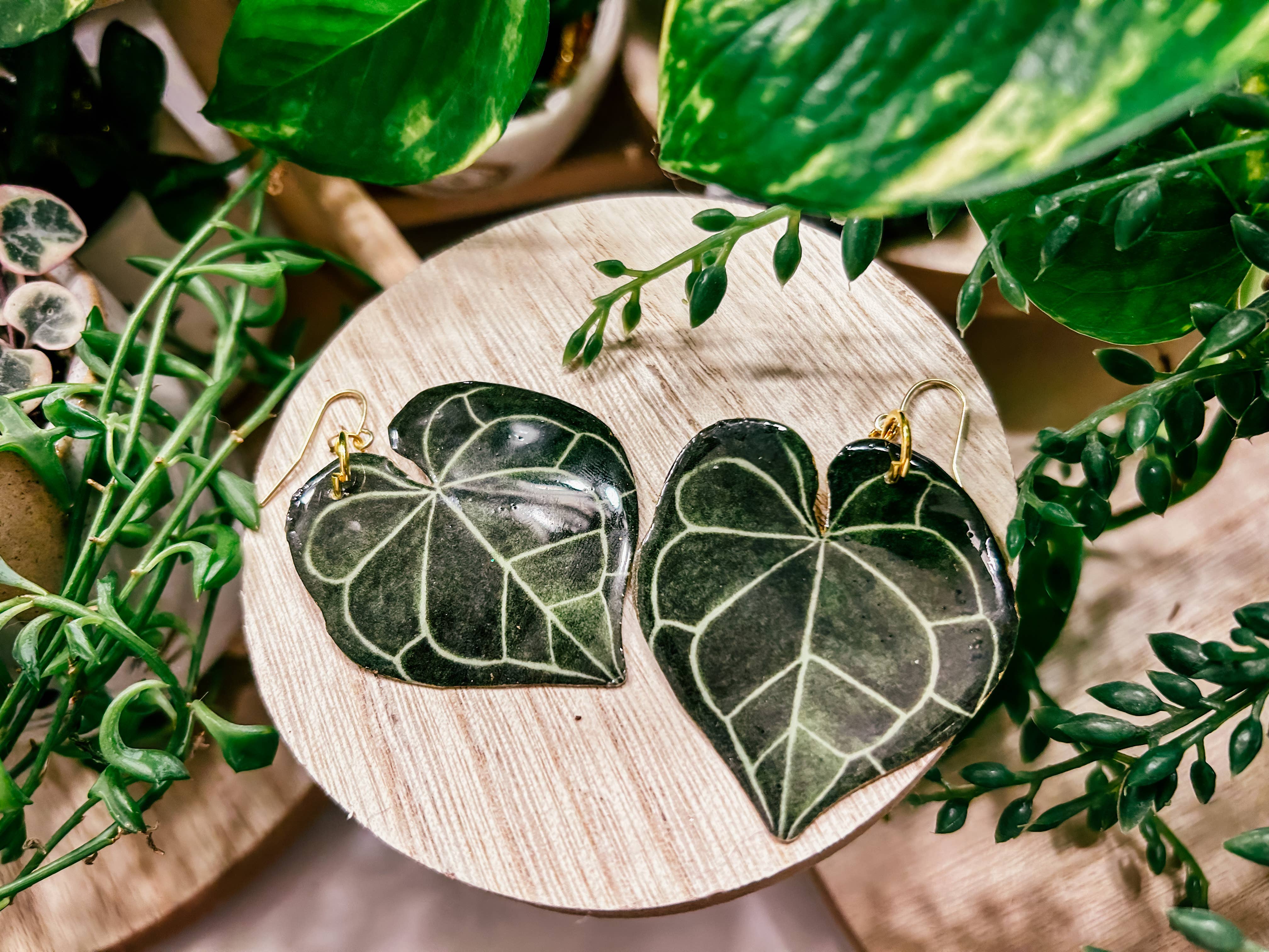 hethr – Engroshandel Hængeøreringe og creoløreringe – Anthurium Clarinervium Plant: Ørering, Magnet, Pin, Indretning1