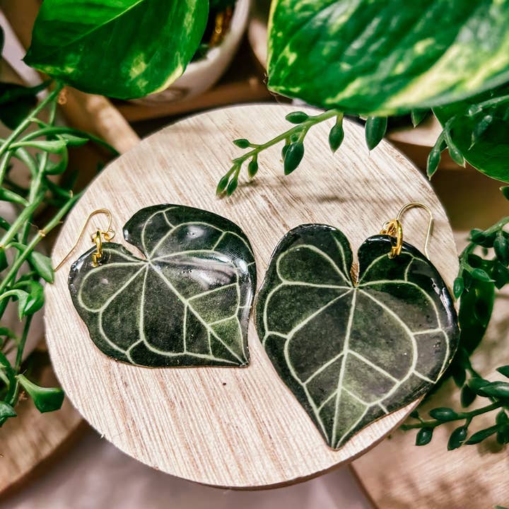 hethr – Engroshandel Hængeøreringe og creoløreringe – Anthurium Clarinervium Plant: Ørering, Magnet, Pin, Indretning1