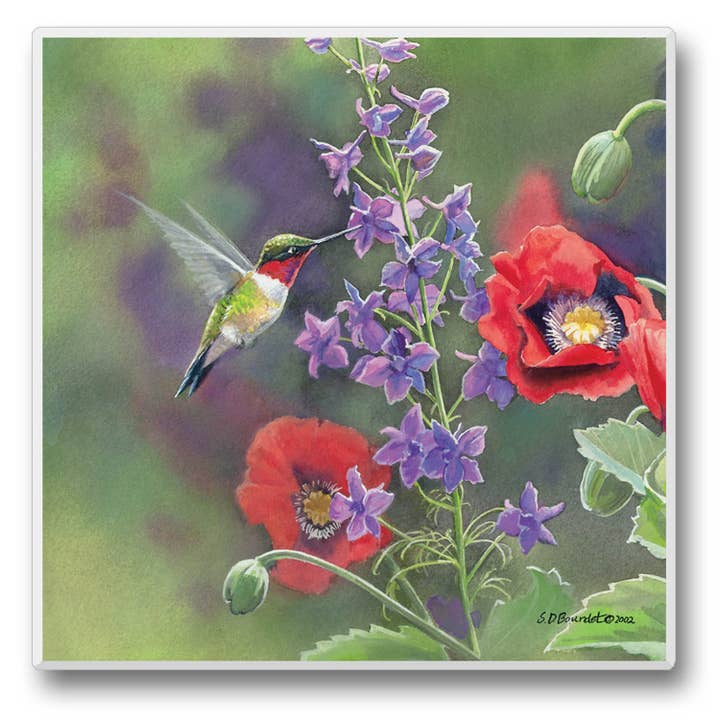 CounterArt/Highland Home/Thirstystone/CoasterStone - Wholesale Retailer Display - Home & Living - Take Flight Pre-Packed Single Coaster Display