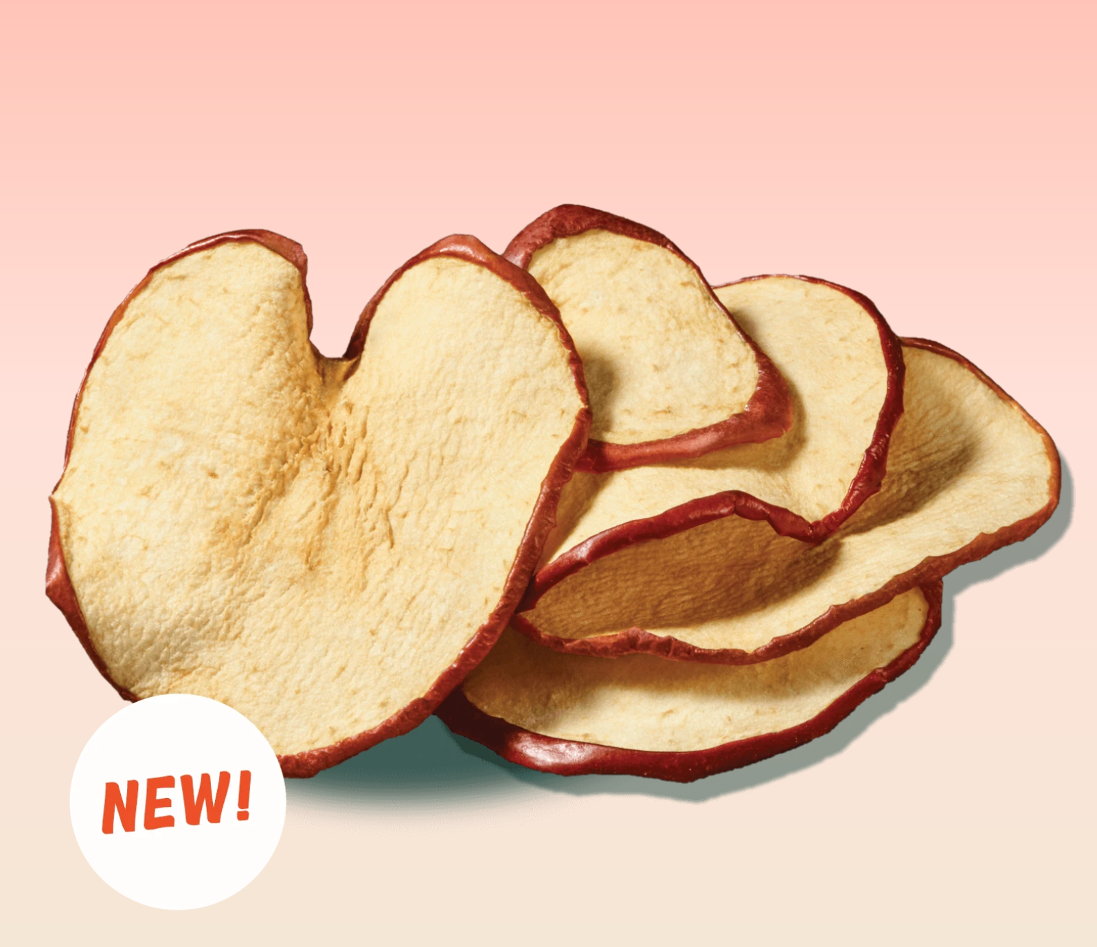 RIND Small Batch LLC - Wholesale Chips - Apple Chips - 2.7oz3