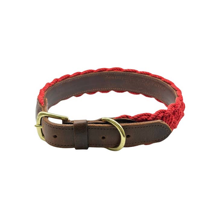 BAYDOG - Wholesale Pet Collar - Dog - Seaside Dog Collar