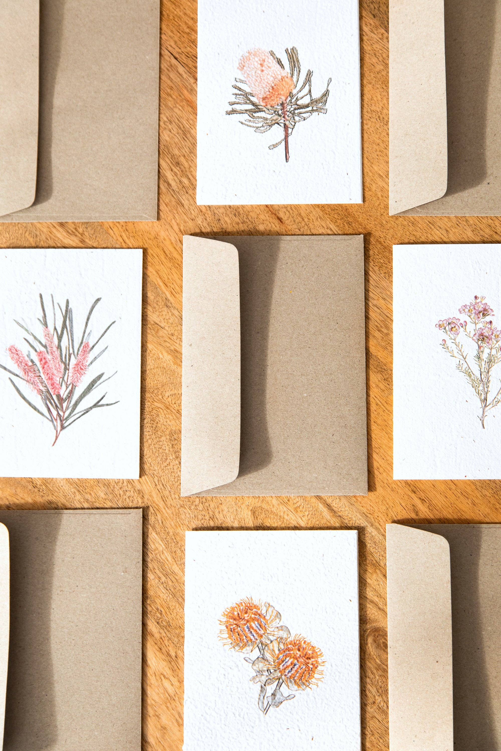 treasureinventory - Venta al por mayor Tarjetas de felicitación - Botánicos Australianos // Tarjetas Plantables // Paquete de 27 Tarjetas2