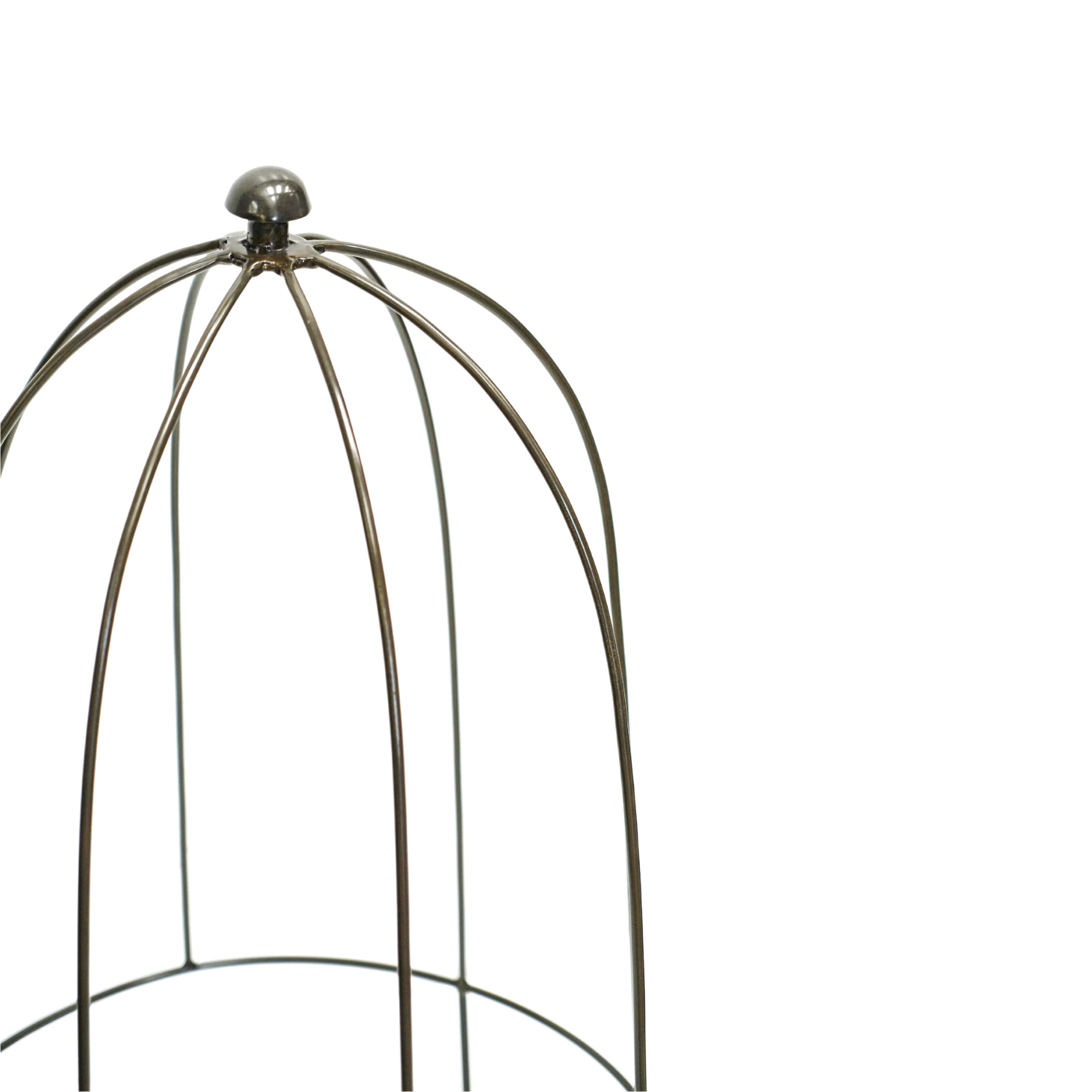 Ivyline International - Wholesale Planting Net/Cover - Outdoor Plant Support H50cm W26cm9