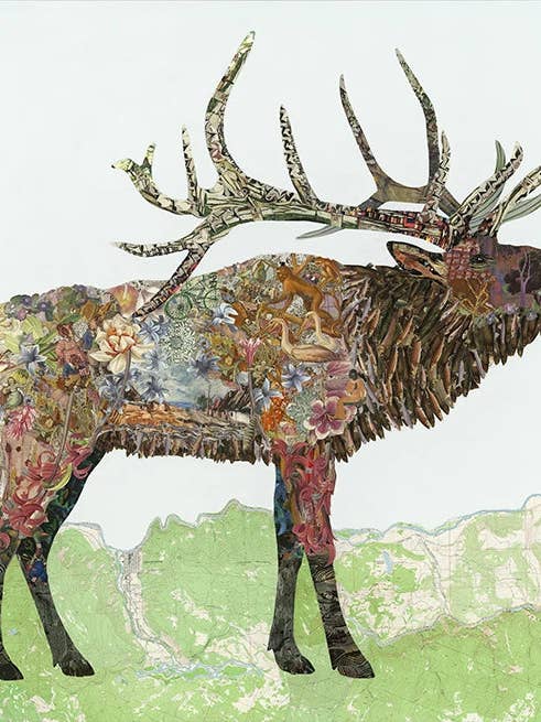 Xander for wholesale by Brenda Bogart