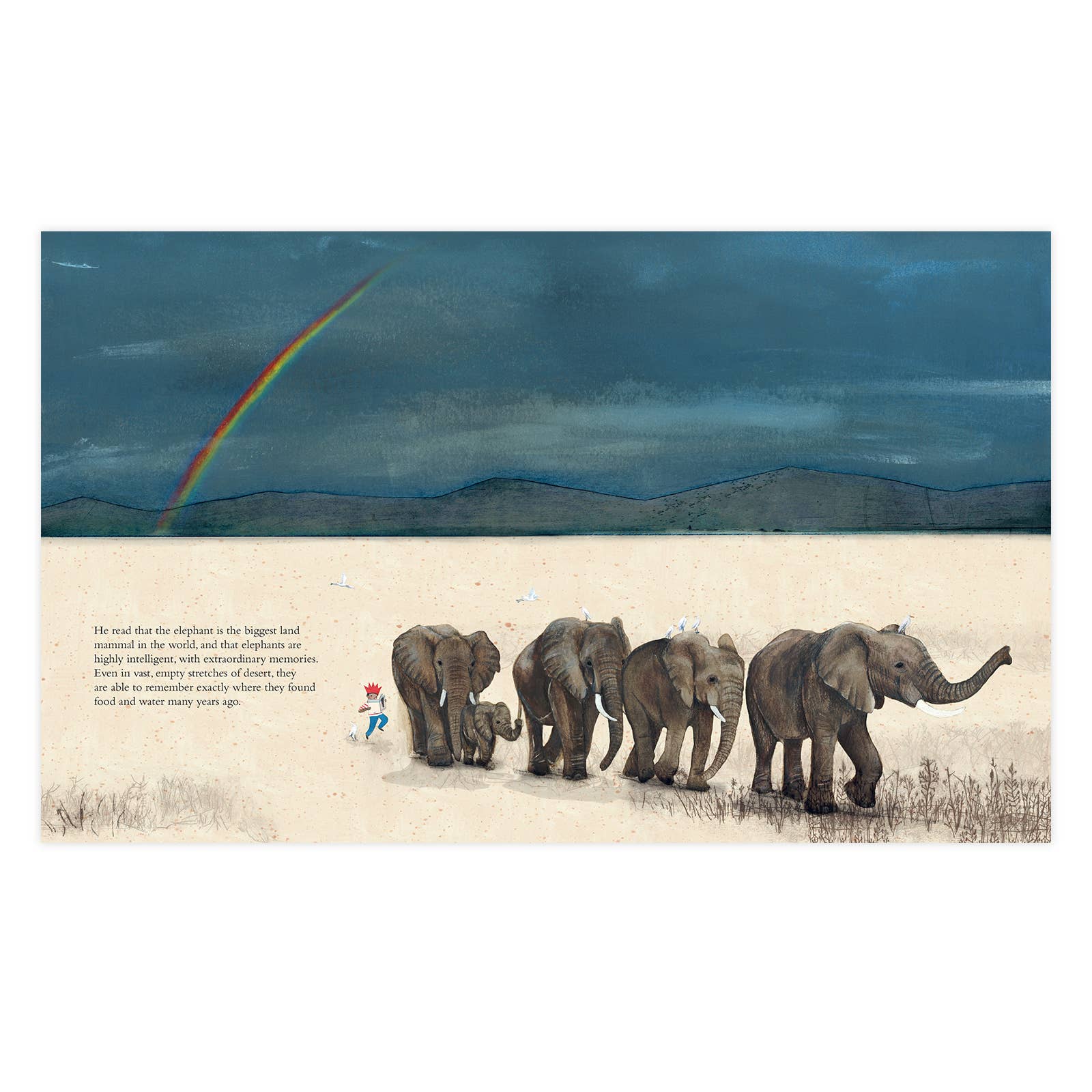 Enchanted Lion Books - Wholesale Nature & Outdoors - The Elephant1