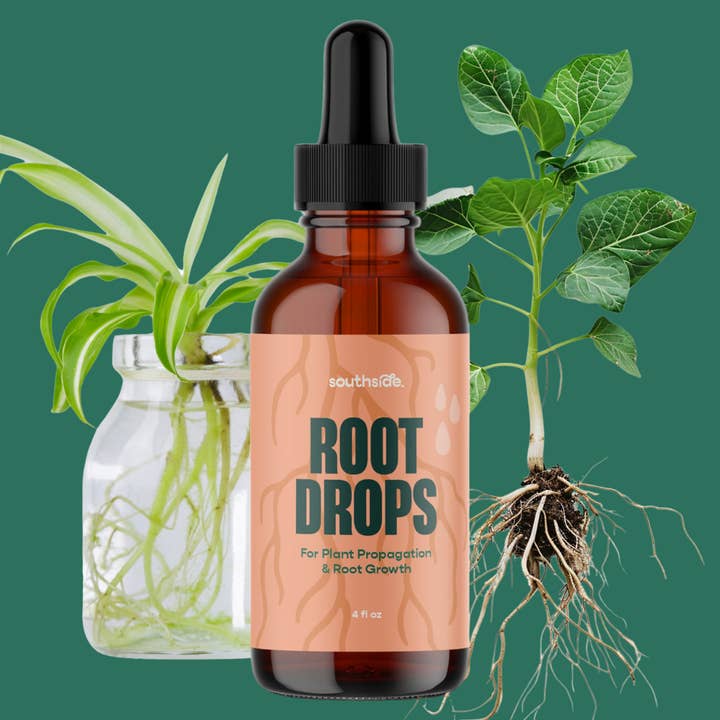 Root Drops - For Propagations & Repotting and other Purchase Wholesale peony bare root. Free Returns & Net 60 Terms on Faire trending on Faire.