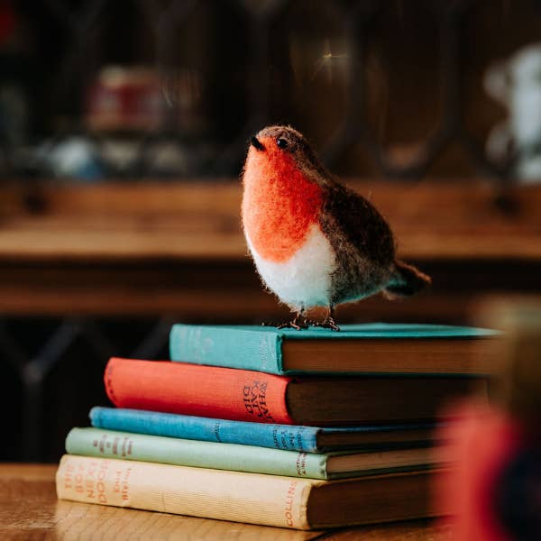 The Crafty Kit Company – wholesale Craft sewing kit – British Birds Red Robin Needle Felting Craft Kit8