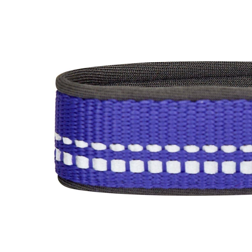 Blueberry Pet - Vente Collier – chien - Collier de sécurité rembourré en néoprène souple réfléchissant 3M26
