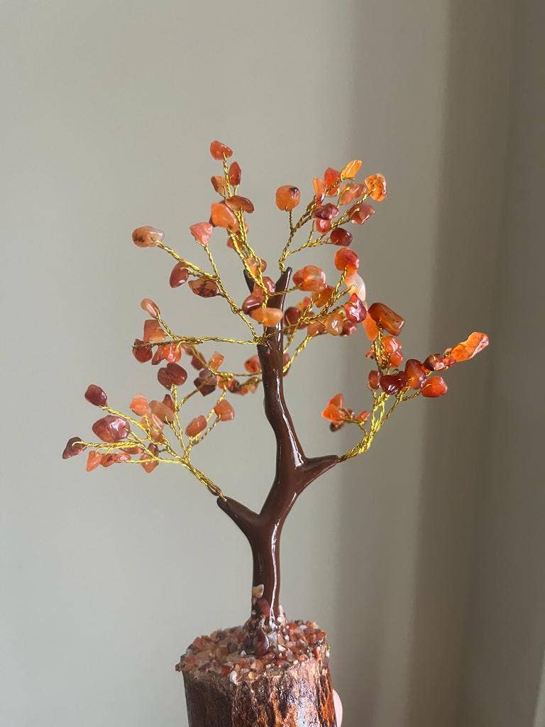 jiomind - Wholesale Spiritual Stone/Crystal - Red Carnelian Crystal Tree (100 chips)2