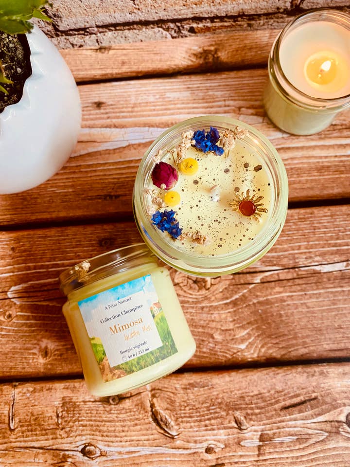 Candela Country - Mimosa per la vendita all'ingrosso da parte di A l'état Naturel