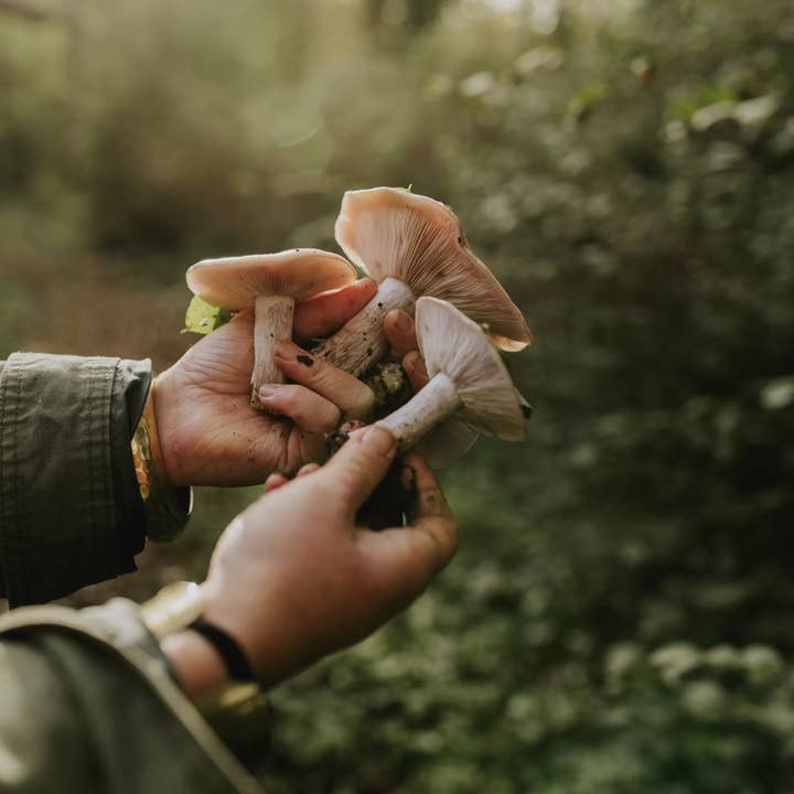 Uitgeverij Snor - Wholesale Home & Garden - Slower Living: inspiration, photography, and interviews1