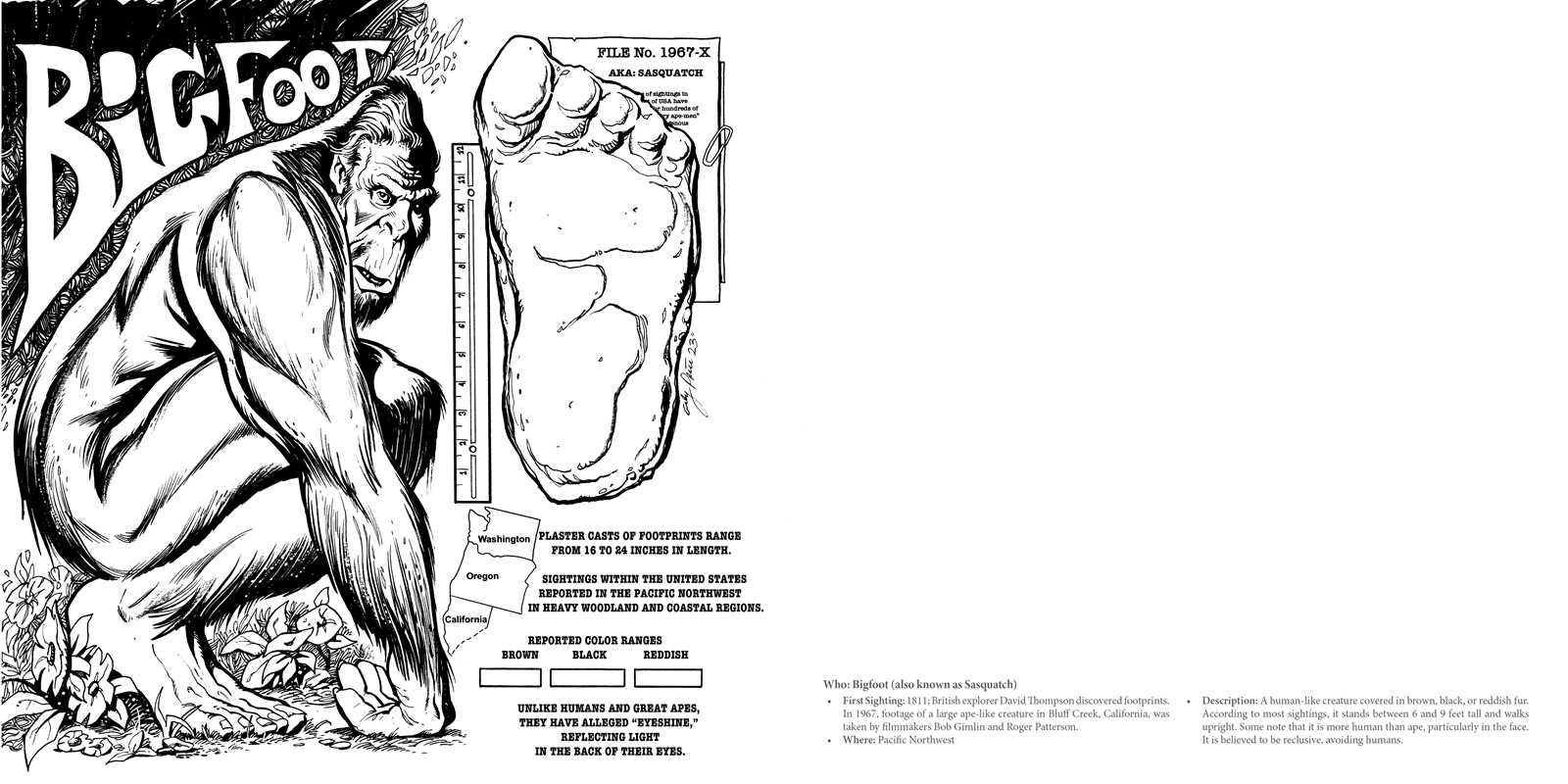 Simon & Schuster - Wholesale Coloring & Activity Book - Adult - Cryptid Creatures Coloring Book by1