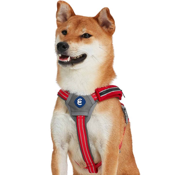 Blueberry Pet - Wholesale Pet Harness - Dog - Better Basics Reflective Dog Harness with Treat Pocket