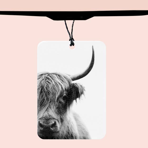 Désodorisant pour voiture Highland pour la vente par Texas Petunias Boutique