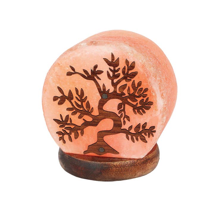 Rock Paradise - Wholesale Salt Lamp - Crystal Himalayan Salt Lamp - Small (RK1)5