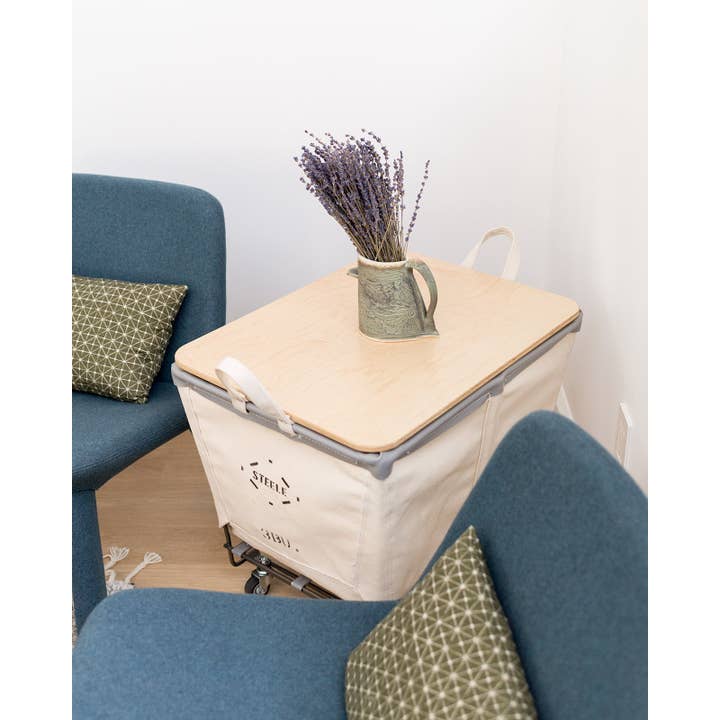 Steele Canvas Basket Corp. - Wholesale Laundry Basket - Canvas Small Truck - 3 Bu10