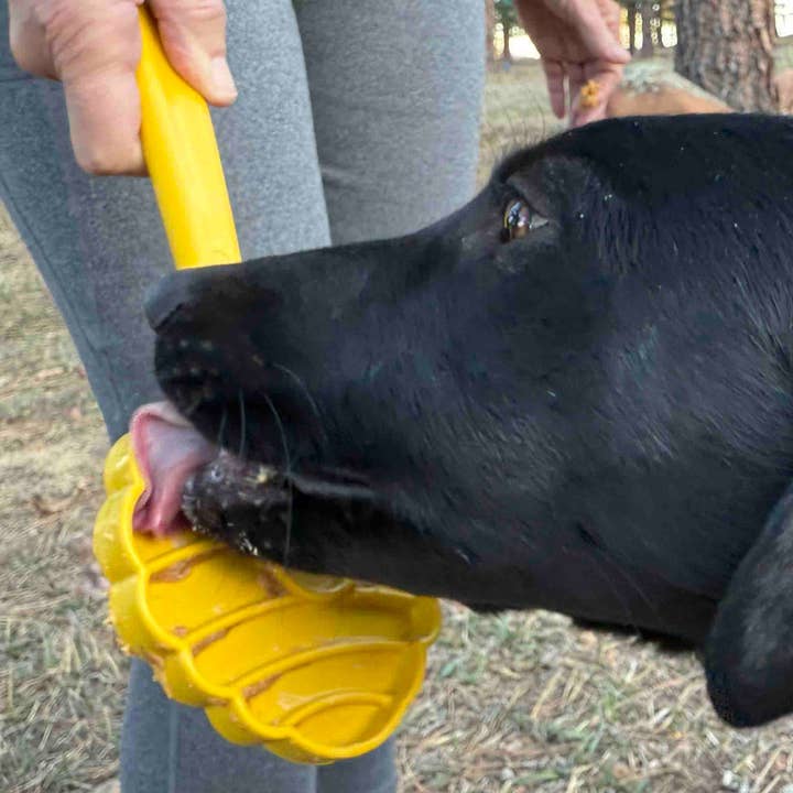 SodaPup Dog Toys - Wholesale Pet Toy - Dog - Lick Stick Hand-Held Interactive Enrichment Toys6