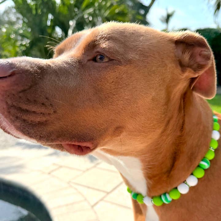 Dainty Paws - Wholesale Pet Collar - Cat/Dog - Lucky Charm | Beaded Dog Collar 2