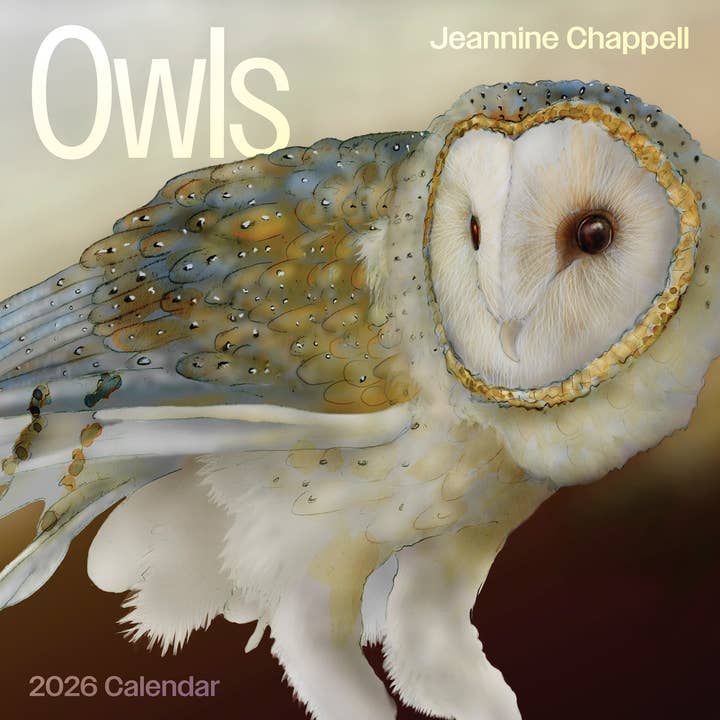 Pomegranate - Wholesale Calendar - Owls: Jeannine Chappell 2026 Wall Calendar0