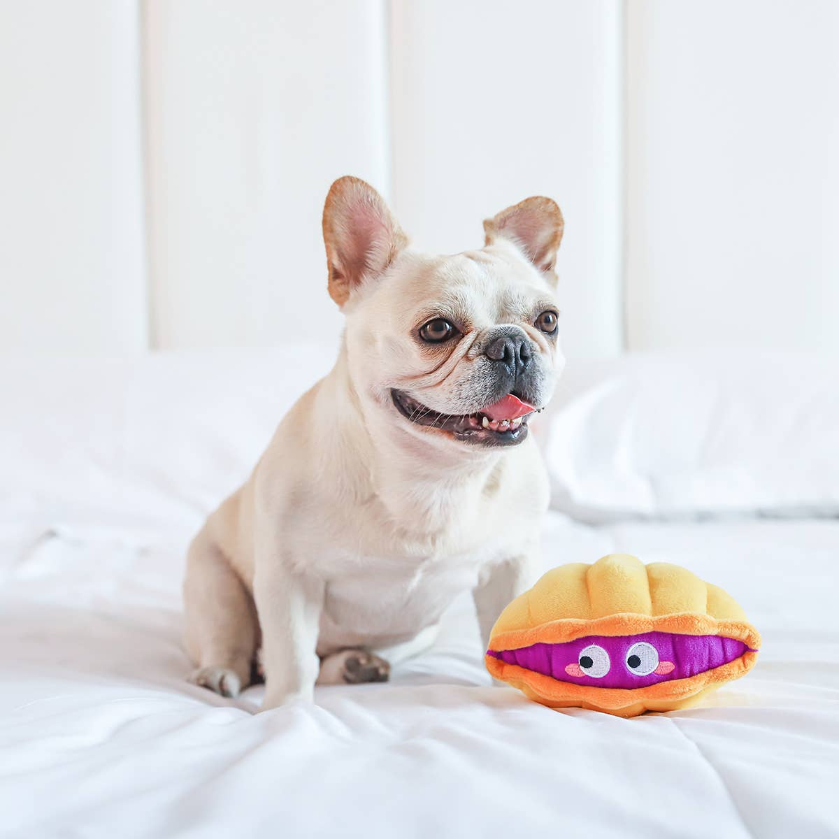 Hugsmart Products Inc – Engroshandel Tøjdyr - Hund – HugSmart Pet - Ocean Pals | Clam - Hundeplyslegetøj6