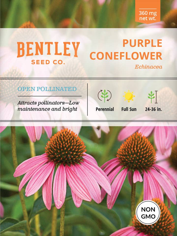 Purple Coneflower (Echinacea) Seed Packets for wholesale by Bentley Seed Co.