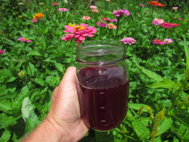 Rayburn Farms - Wholesale Loose Tea - Pisgah Punch1