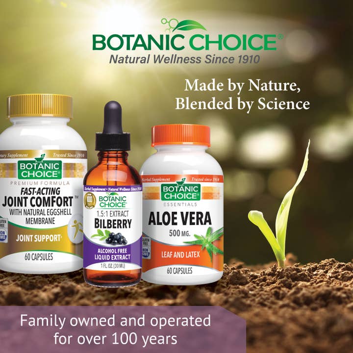 Botanic Choice - Wholesale Oral Supplement/Vitamin - Botanic Choice Bilberry Alcohol Free Liquid Extract - 1 oz