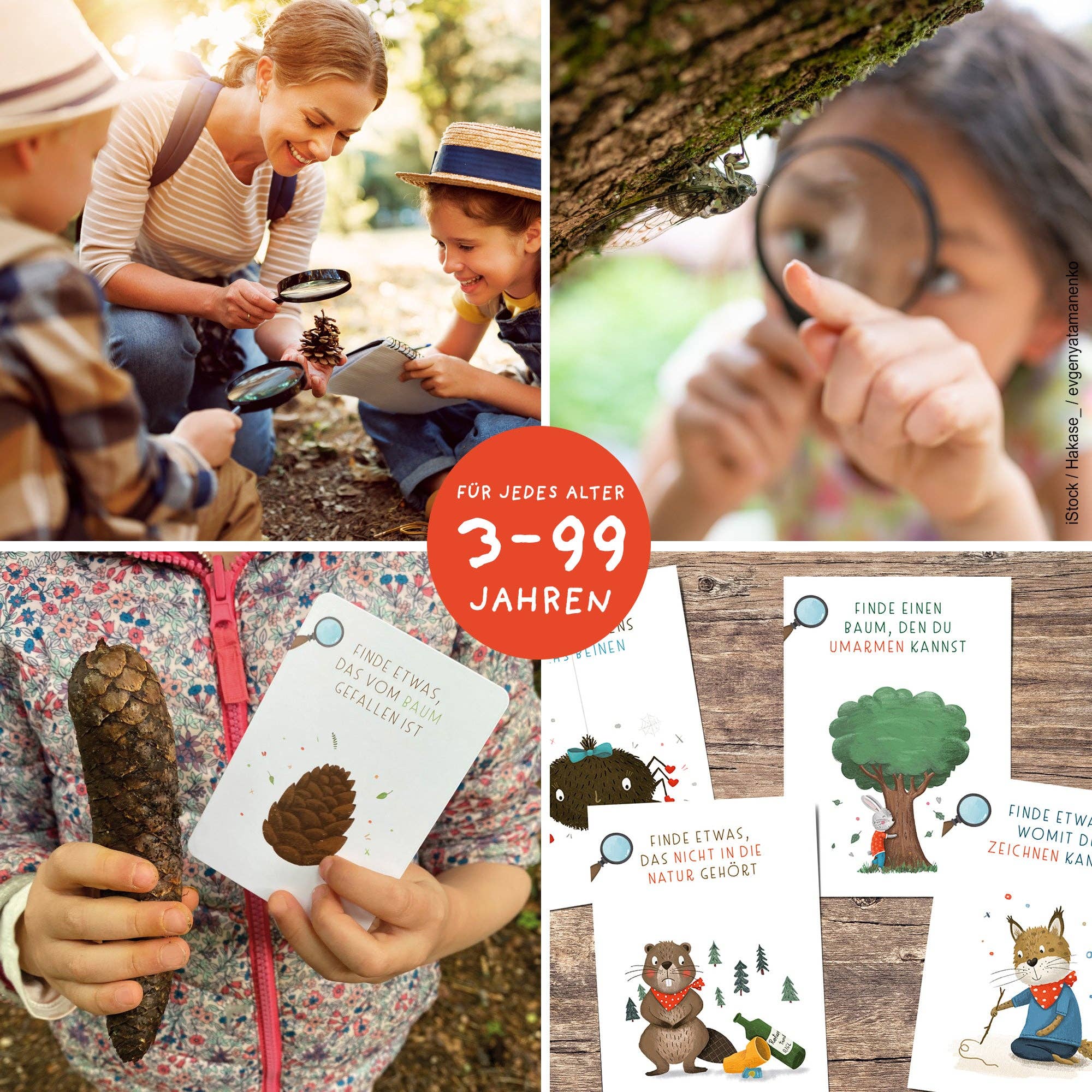 Rüsselfuchs - Wholesale Learning Cards - Kids & Baby - Explorer Cards for Kids "Search & Find"8