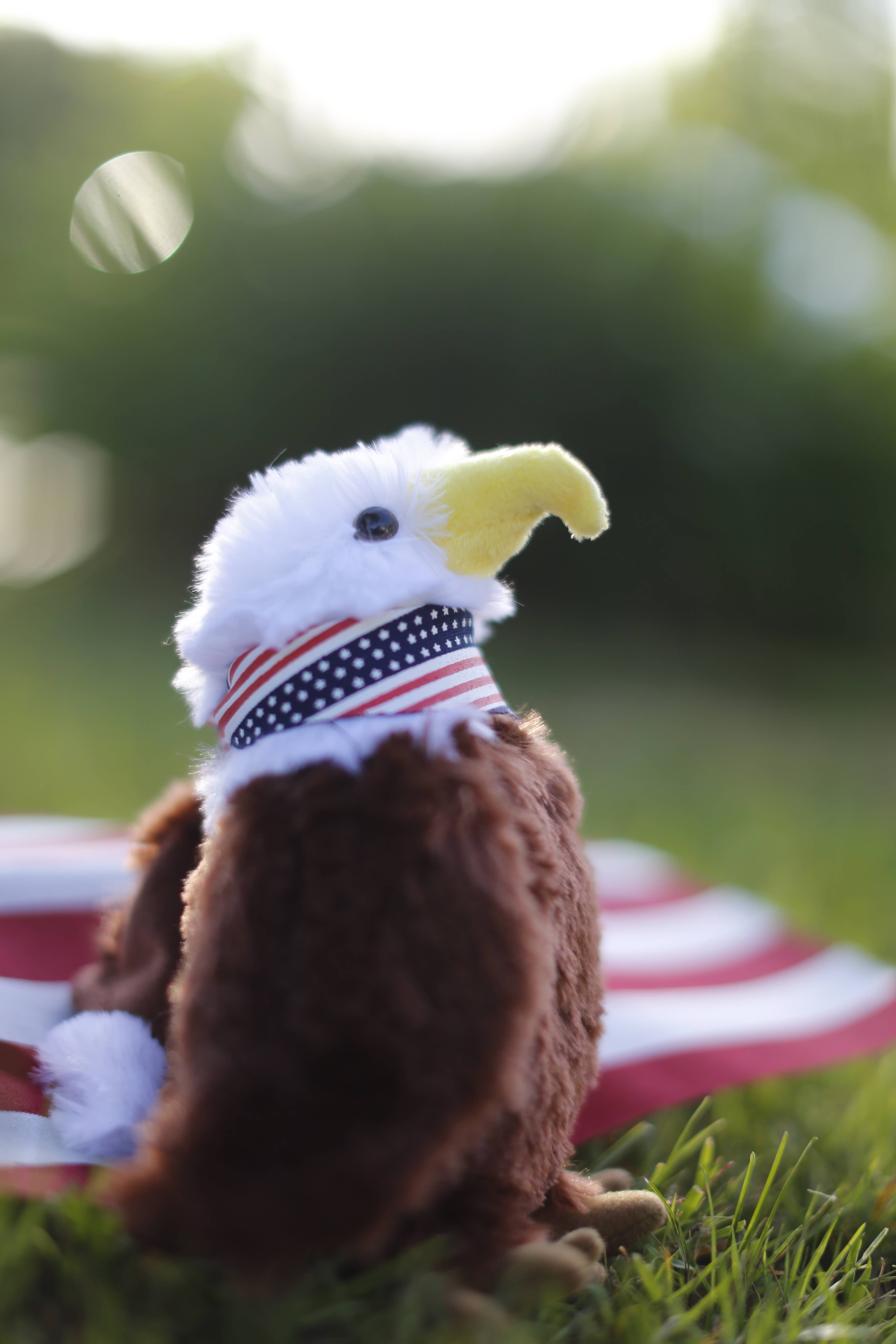 Plushland - Wholesale Stuffed/Plush Toy - Kids & Baby - American Eagle 8" - Patriotic Plush Stuffed Animal2