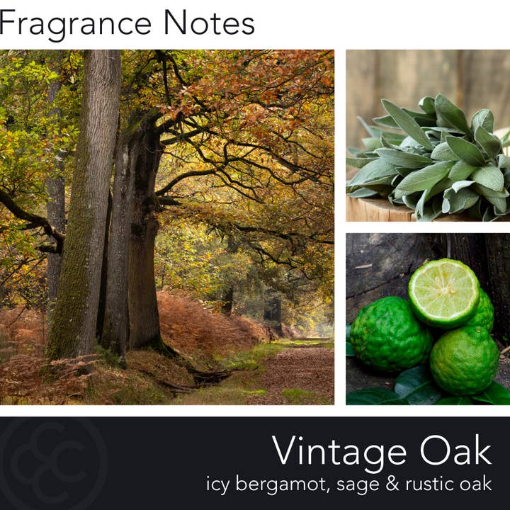 MVP Group International INC - Wholesale Jar/Filled Candle - Vintage Oak Wooden Wick Scented Candle, Soy Blend Wax, 15oz2