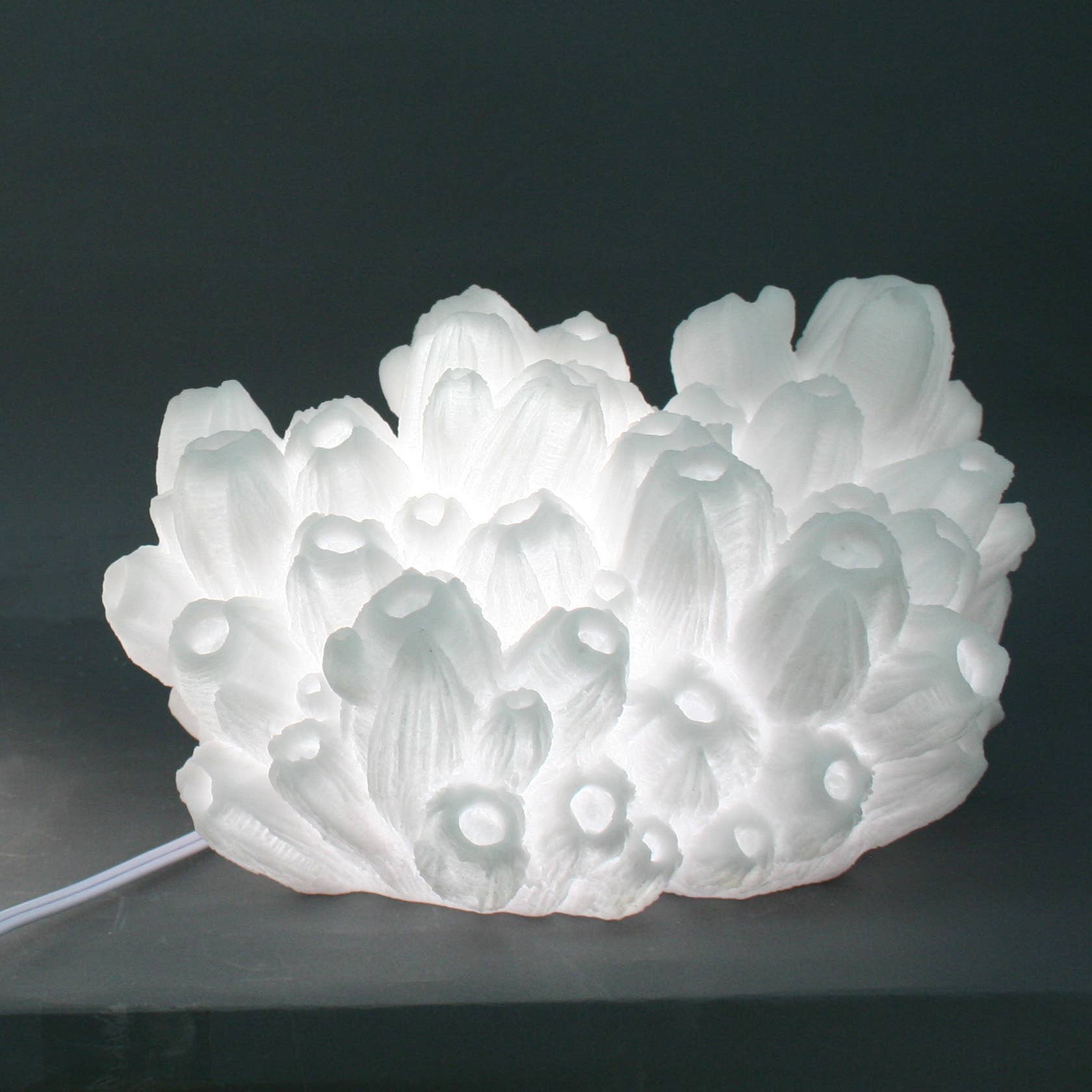 Modern Coastal by Contrast Inc. - Vendita all'ingrosso Lampada da scrivania/d'accento - Arenaria Barnacle Lampada Interno