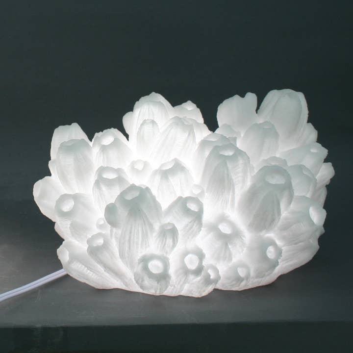 Modern Coastal by Contrast Inc. – Engroshandel Skrivebordslampe – Sandsten Barnacle Lampe Indendørs
