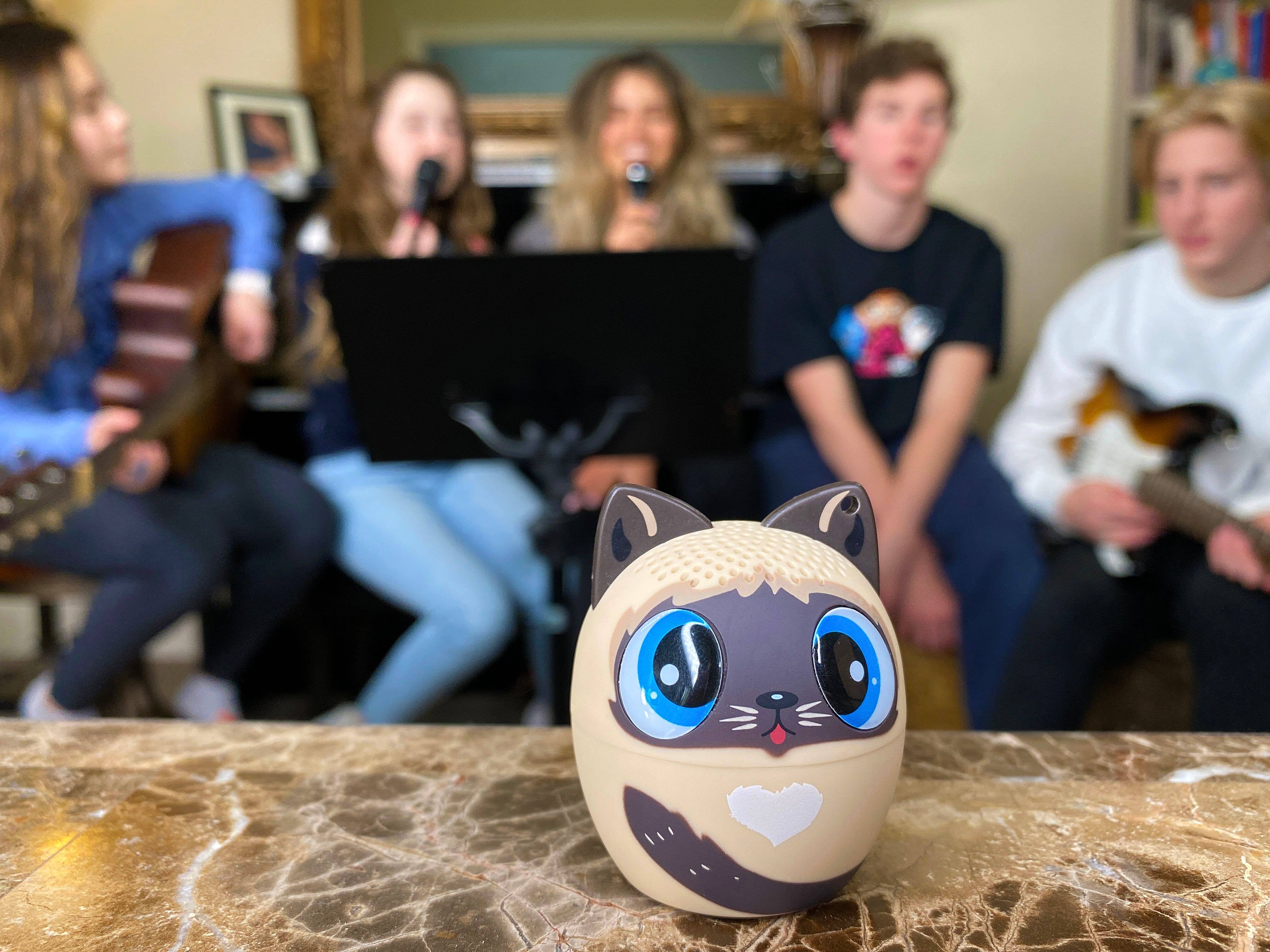 My Audio Life - Vendita all'ingrosso Casse audio - My Audio Pet - Cat2, mini altoparlante Bluetooth gatto6