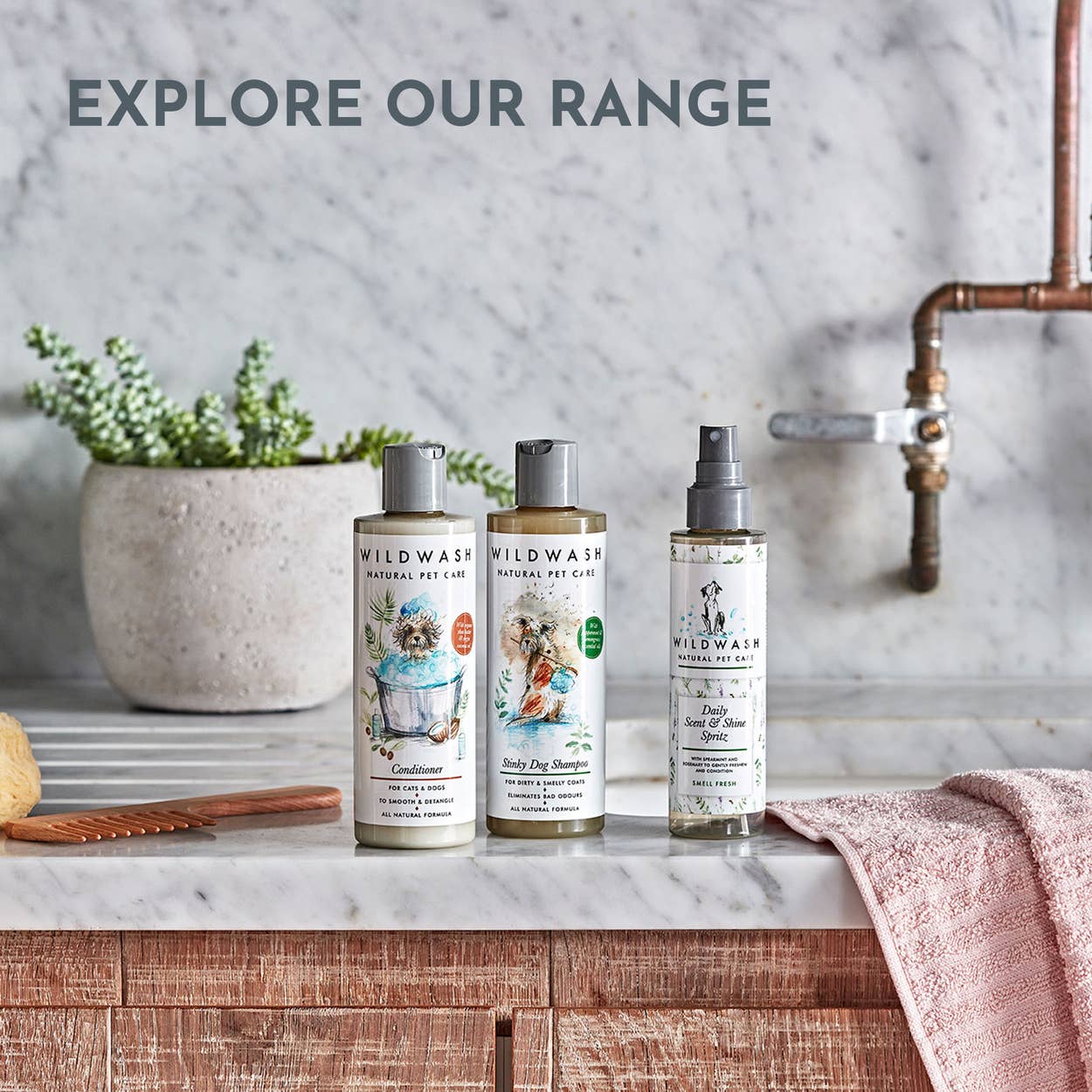 WildWash – wholesale Pet bath tub – Cat/dog – Deep Clean Shampoo for Dogs 50ml3