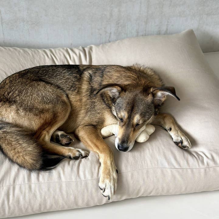 STUDIO ANIMAUX - Wholesale Pet toy – Dog - Dog toy | look alike bone | cotton | 20 cm | cuddly toy1