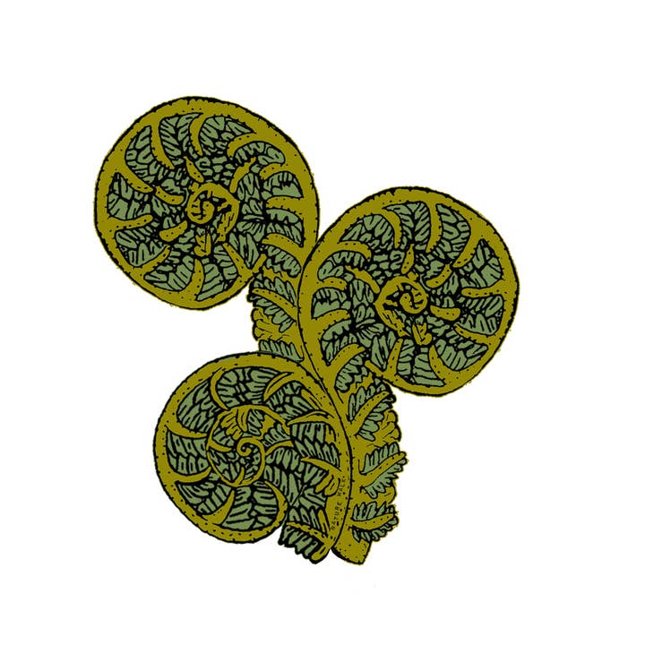 Nature Walk - Wholesale Sticker - Fiddlehead Fern Waterproof Decal1