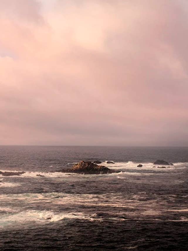 Kust nr 16 för wholesale av Wilder California