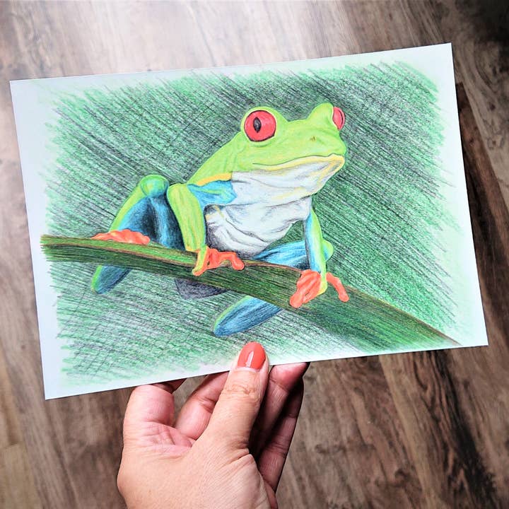 Hannah Kate Makes - Wholesale Art Print - Red Eyed Tree Frog Art Print - Cedric Sammakko - A54