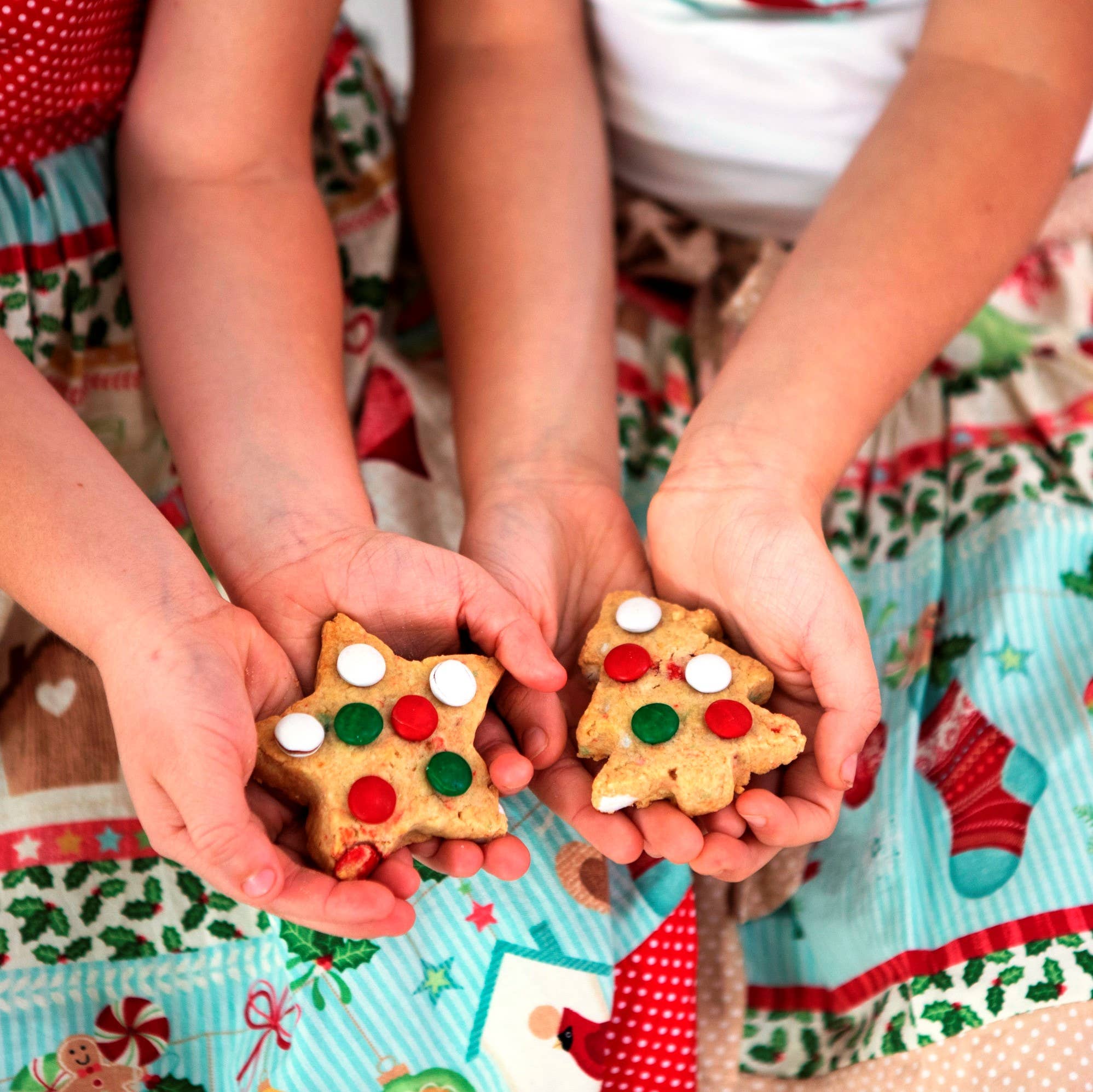 Sweet Health - Vente Préparation pour biscuits - Cadeau de Noël, grand format, mélange à biscuits pour le père Noël de marque S/H2