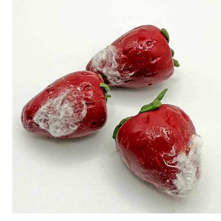Aimants Fraise Moisie pour la vente par Anna Chovie