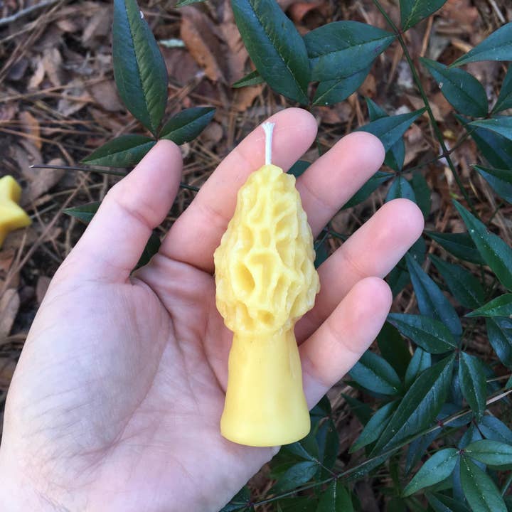 King Cobra Apiary Honey - Wholesale Novelty Candle - Morel Mushroom Beeswax Candle3