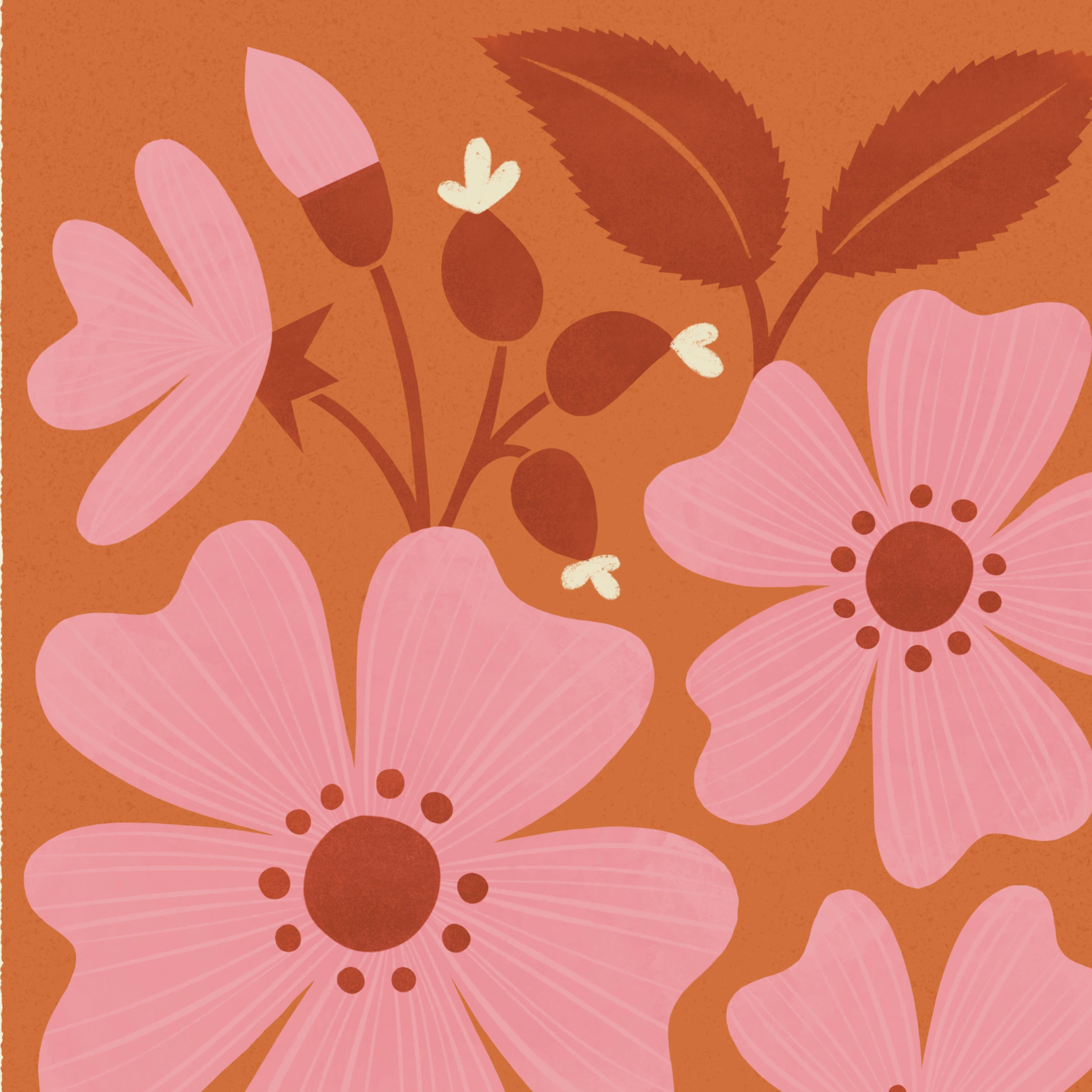 Bird & Co Studio – wholesale Art print – Wild Rose | Modern-Retro Wildflower Art Print | Wall Decor2