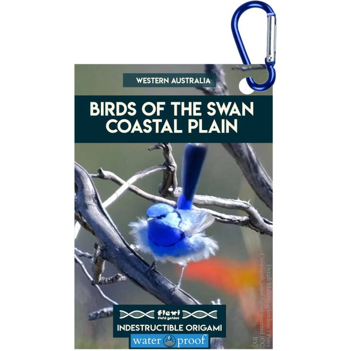Uccelli della Pianura Costiera del Cigno - Origami Indistruttibile per la vendita all'ingrosso da parte di Flexi Field Guides