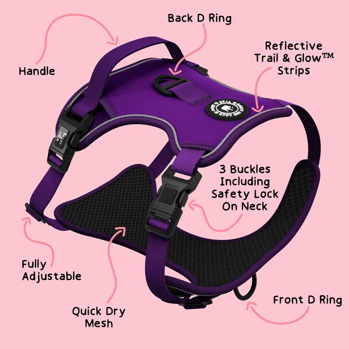 Bailey and Coco - Wholesale Pet Harness - Dog - Trail & Glow® Dog Harness - The Royal Purple One